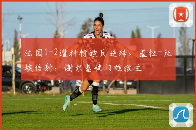 法国1-2遭科特迪瓦逆转，盖拉-杜埃传射，谢尔基破门难救主